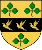 Irish Family Shield for O