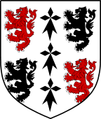 Irish Family Shield for O