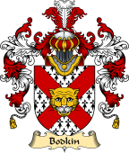 Irish Family Coat of Arms (v.25a) Bodkin