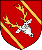 Irish Family Shield for O