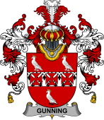 Irish Family Coat of Arms (v.25b) Gunning or O