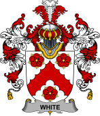 Irish Family Coat of Arms (v.25b) White or Whyte