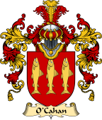 Irish Family Coat of Arms (v.25a) O