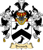 Irish Family Coat of Arms (v.25a) Brenock