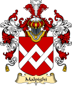Italian Family Coat of Arms (v.25a) Malpighi