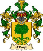 Irish Family Coat of Arms (v.25a) O