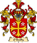 Irish Family Coat of Arms (v.25a) O