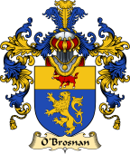 Irish Family Coat of Arms (v.25a) O