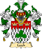 Irish Family Coat of Arms (v.25a) Leech