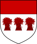 Irish Family Shield for O