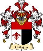 Italian Family Coat of Arms (v.25a) Castagna