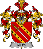 Irish Family Coat of Arms (v.25b) Miles or Moyles