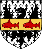 Irish Family Shield for O