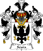 Italian Family Coat of Arms (v.25b) Scura