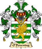 Irish Family Coat of Arms (v.25a) O