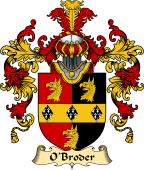 Irish Family Coat of Arms (v.25a) O