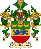 Irish Family Coat of Arms (v.25a) O