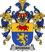 Irish Family Coat of Arms (v.25b) Brosnan or O
