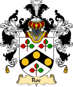 Irish Family Coat of Arms (v.25a) Roe