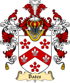 Irish Family Coat of Arms (v.25a) Bates