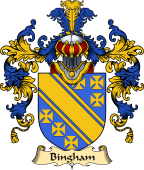 Irish Family Coat of Arms (v.25a) Bingham
