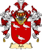 Irish Family Coat of Arms (v.25a) Ash