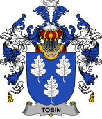 Irish Family Coat of Arms (v.25b) Tobin