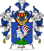 Italian Family Coat of Arms (v.25b) Galli