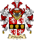 Irish Family Coat of Arms (v.25a) O