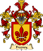 Irish Family Coat of Arms (v.25a) Freeney