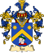 Italian Family Coat of Arms (v.25a) Tosi