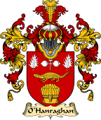 Irish Family Coat of Arms (v.25a) O