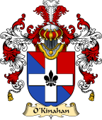 Irish Family Coat of Arms (v.25a) O