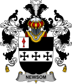 Irish Family Coat of Arms (v.25b) Newsom or Newsam