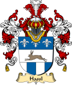 German Coat of Arms (v.25b) Hassl