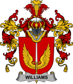 Irish Family Coat of Arms (v.25b) Williams