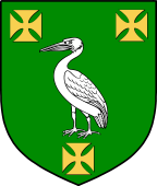 Irish Family Shield for O