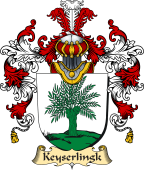 German Coat of Arms (v.25b) Keyserlingk