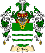 Irish Family Coat of Arms (v.25a) O