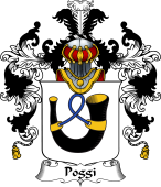 Italian Family Coat of Arms (v.25b) Poggi
