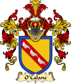 Irish Family Coat of Arms (v.25a) O