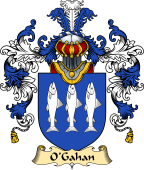 Irish Family Coat of Arms (v.25a) O