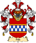 Italian Family Coat of Arms (v.25a) Pilli