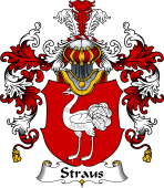 German Wappen Coat of Arms (v.25) Straus