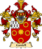 Irish Family Coat of Arms (v.25a) Cantell