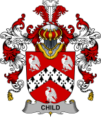 Irish Family Coat of Arms (v.25b) Child