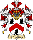 Irish Family Coat of Arms (v.25a) O