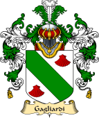 Italian Family Coat of Arms (v.25a) Gagliardi
