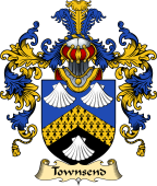 Irish Family Coat of Arms (v.25a) Townshend or Townsend