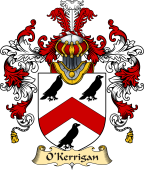 Irish Family Coat of Arms (v.25a) O